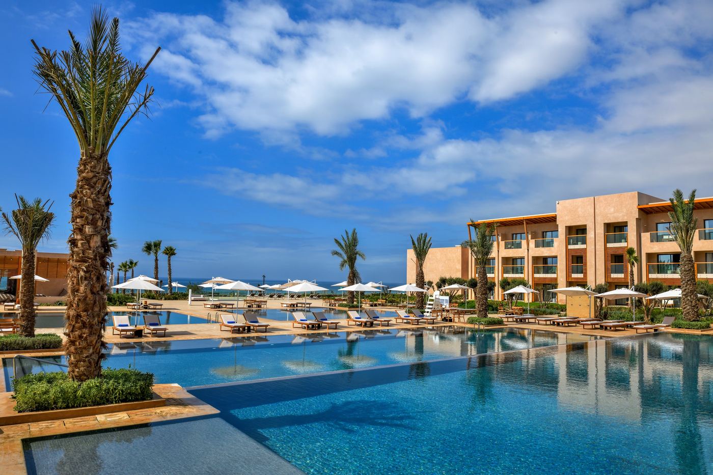 Piscine d'un hôtel partenaire, palmiers et ciel bleu